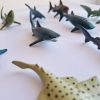 Animales del mar en miniatura