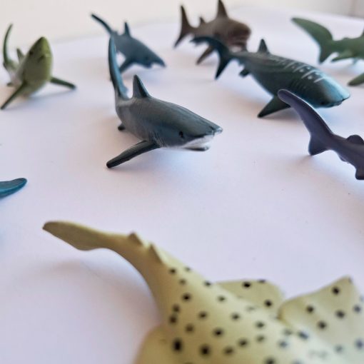 Animales del mar en miniatura