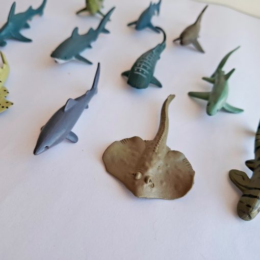 Animales del mar en miniatura