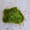 Ramas y flores para maquetas