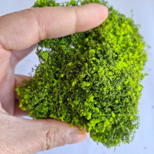 Ramas y flores para maquetas