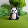 Panda en miniatura para terrarios
