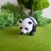 Panda en miniatura para terrarios