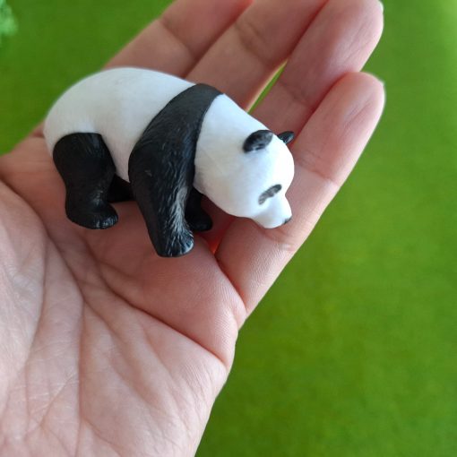 Panda en miniatura para terrarios