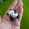 Panda en miniatura para terrarios