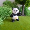Panda en miniatura para terrarios