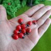 Mariquitas en miniatura