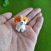 Perro en miniatura para terrarios