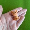 Perro en miniatura