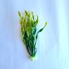 Planta artificial para maquetas y acuarios