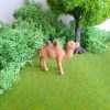Camello en miniatura