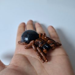 Araña miniatura