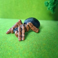 Araña para terrario