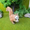 Ardilla en miniatura