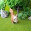 Ardilla en miniatura
