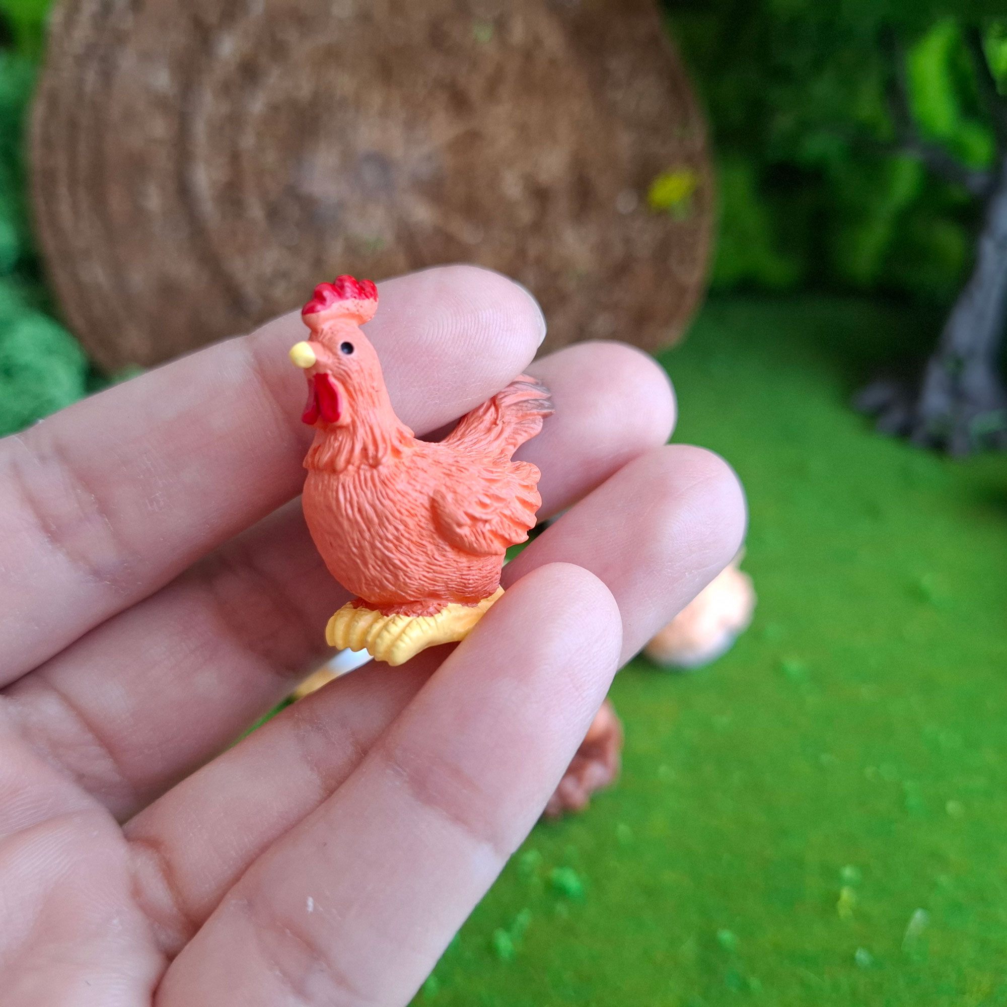 Gallo en miniatura