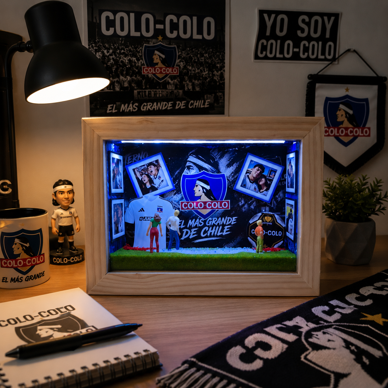 Mini galería del Colo Colo