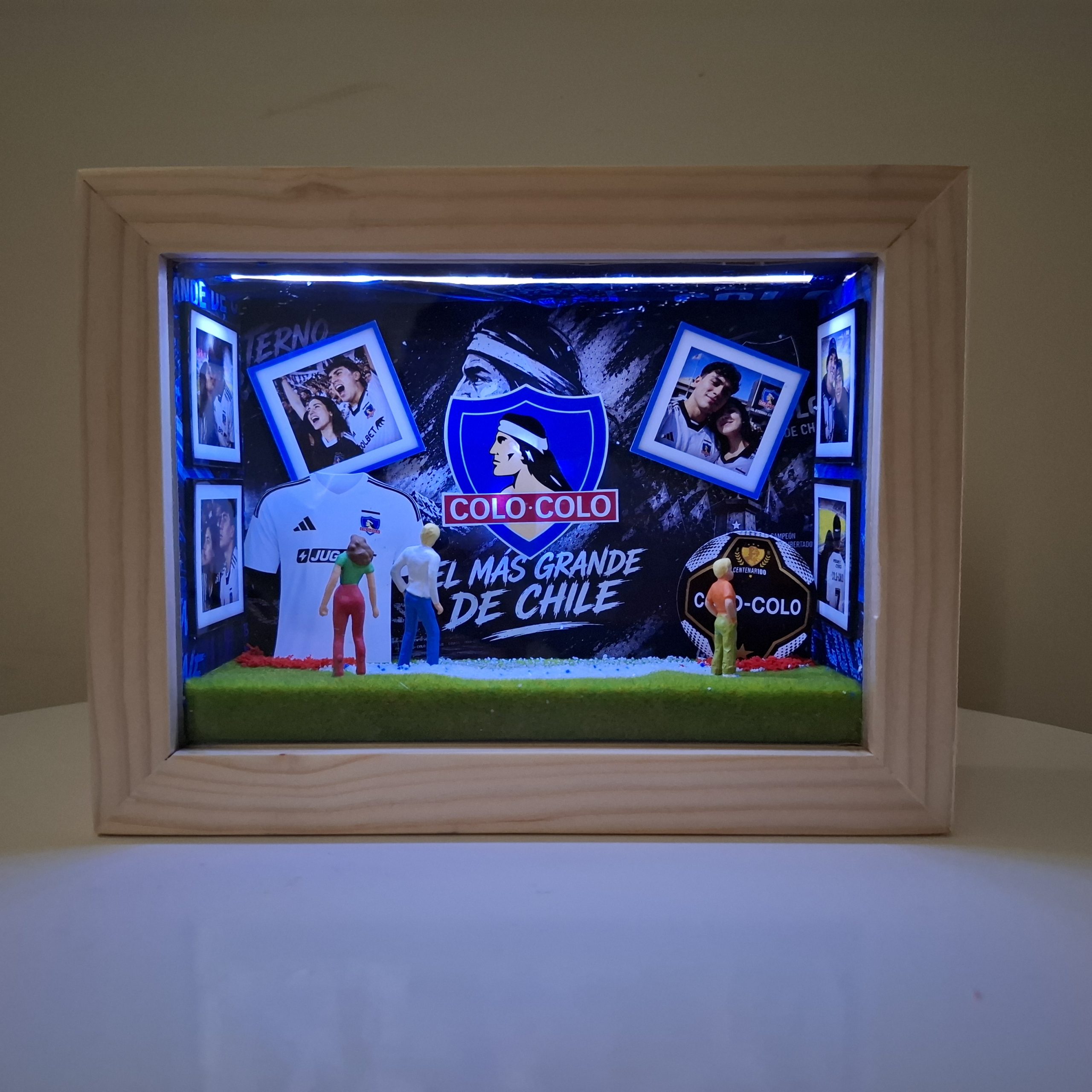 Mini galería del Colo Colo - Imagen 3