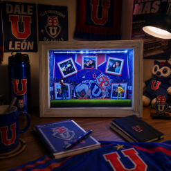 Universidad de Chile